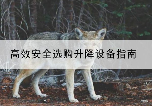 义县升降货梯厂家推荐-*安全选购升降设备指南