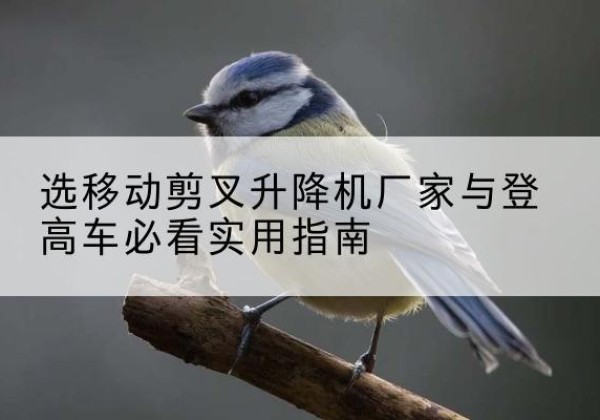 义县电动升降机厂家-选移动剪叉升降机厂家与登高车必看实用指南